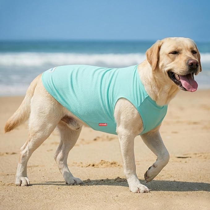 KYEESE 2Pack Dog Cooling Shirt, Breathable Dog Shirt for Large Dogs, Sun Protection Dogs Cooling Vest Tank Top, Lightweight Soft Sleeveless Summer Pet Clothes, Duck+Blue, 3XL