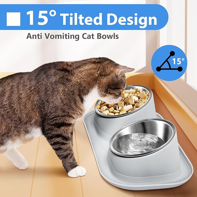 Ant Away Stainless Steel Elevated Cat Bowls with Stand - Tilted Anti Vomiting, Double Food and Water Bowl Set (Grey, 16 Oz)