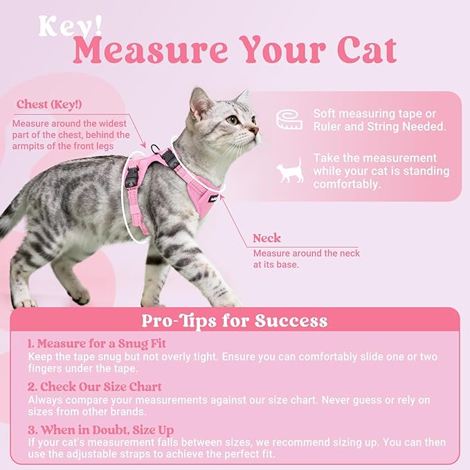 rabbitgoo Cat Harness and Leash, Escape Proof Vest with 3 Adjustable Buckles, Soft Comfortable Kitten Harness, Easy to Wear, Reflective for Safe Outdoor Walking, Small, Pink