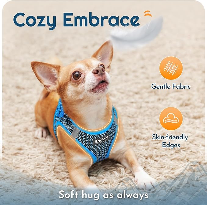 Eagloo Small Dog Harness and Leash Set, Step in Puppy Vest with Breathable Soft Mesh, Walking Reflective Pet Harness for Small Dogs, Blue, XS