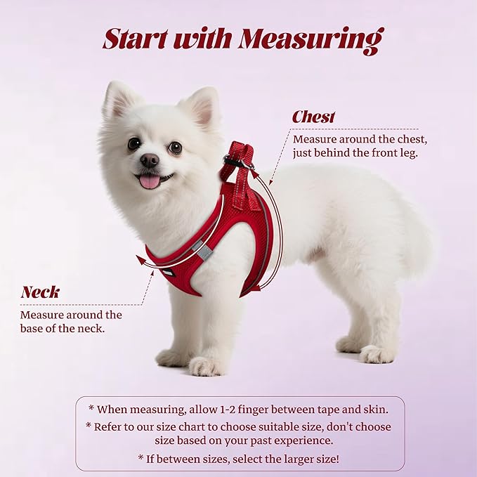 YIMEIS Dog Harness and Leash Set, No Pull Soft Mesh Pet Harness, Reflective Adjustable Puppy Vest for Small Medium Large Dogs, Cats (Red 02, X-Small (Pack of 1)