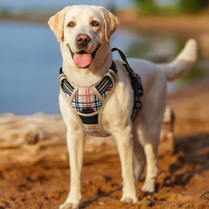 rabbitgoo Dog Harness No Pull with 2 Leash Clips, Adjustable Soft Padded, Reflective Oxford No Choke Pet Vest with Easy Control Handle for Medium Sized Dogs, Beige Plaid, M