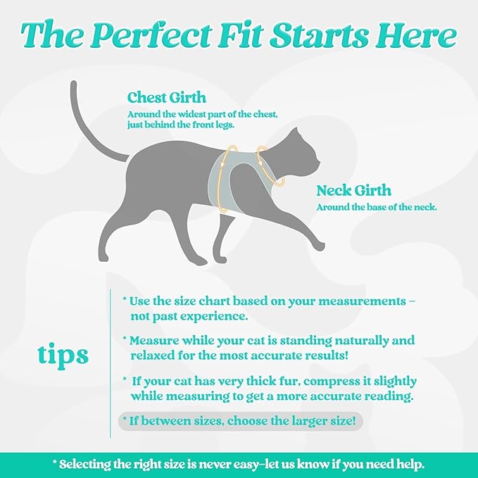 rabbitgoo Cat Harness and Leash, Step-in Escape Proof Kitten Harness Set, Soft Comfortable Cat Vest, Easy to Wear and Adjust, Reflective for Safe Outdoor Walking, Green, Large