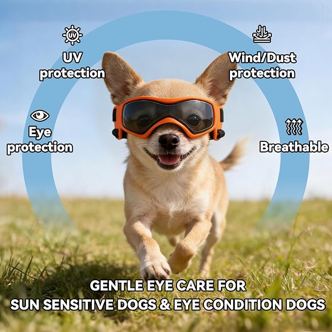 Dog Goggles for Extra Small Breed, Anti-UV Windproof Doggie Sunglasses, Small Dog Glasses Eye Protection for Riding Cycling Hiking, Orange