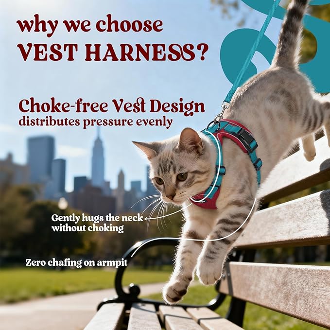 rabbitgoo Cat Harness and Leash Set, Escape Proof Kitten Harness for Safe Outdoor Walks, Soft Breathable Adjustable Vest with Reflective Strips for Kittens and Extra Small Cats, Red & Teal, XXS
