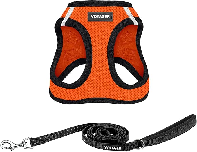 Best Pet Supplies Voyager Step-in Air All Weather Mesh Harness and Reflective Dog 5ft Leash Combo with Neoprene Handle, for Small, Medium and Large Breed Puppies - Set (Orange/Black Trim), XX-Small