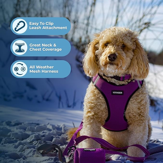 Best Pet Supplies Voyager Step-in Air All Weather Mesh Harness and Reflective Dog 5ft Leash Combo with Neoprene Handle, for Small, Medium and Large Breed Puppies - Set (Purple/Black Trim), Large