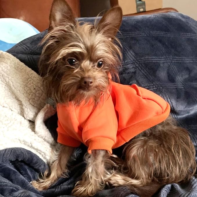 Jecikelon Soft Dog Hoodies for Small Dogs, Fleece Puppy Sweatshirt with Pockets, Warm Winter Cold Weather Coats for Pet Cat, Cute Clothes Puppy Costume (Orange, XX-Small)