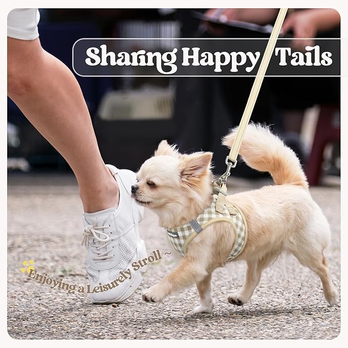 rabbitgoo Dog Harness Small Medium Sized and Leash Set, Step in Soft Light Puppy Vest, Breathable Mesh Pet Harness, Reflective for Safe Easy Walking, Beige Check L
