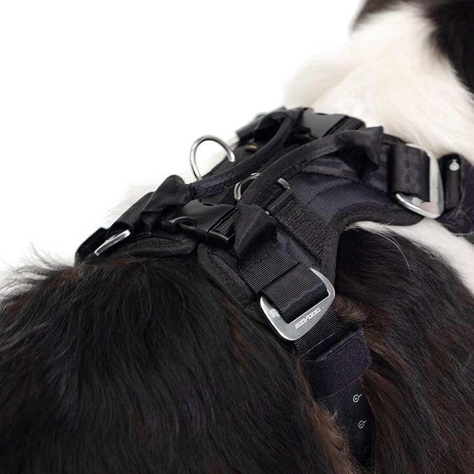 EzyDog Drive Dog Car Harness – Crash Tested and Certified (US-FMVSS 213) Dog Seat Belt Harness for Safe Travel, Adjustable with Padded Comfort (Large)