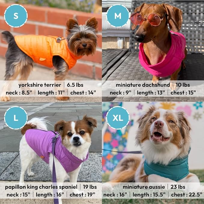 Gooby Puffer Vest Dog Jacket - Orange, X-Small - Ultra Thin Zip Up Wind Breaker with Dual D Ring Leash Water Resistant for Small to Medium Dogs