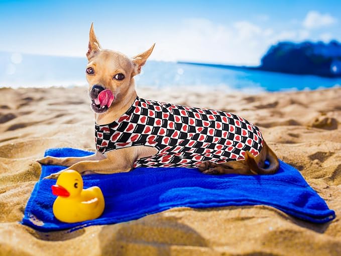 Lightweight Breathable Dog Cooling Shirts, Quick Dry Dog Sunscreen T-Shirt, Professional Pet Summer Vest for Small Medium Large Girl Boy Dogs