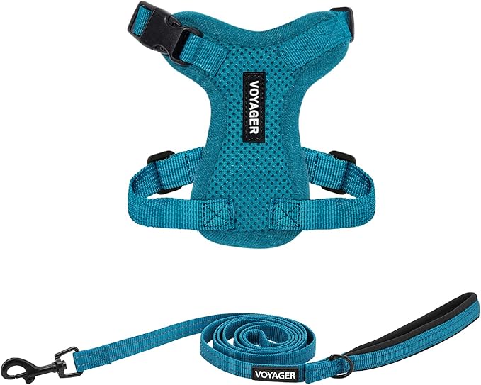 Best Pet Supplies Voyager Step-in Lock Pet Harness w Reflective Pet Leash Combo Set with Neoprene Handle 5ft - Supports Small, Medium and Large Breed Puppies/Cats - Turquoise Set, XXS