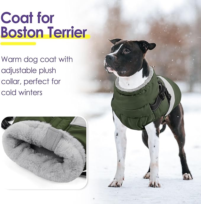 Dog Winter Coat, Waterproof Dog Coat Jacket with Harness for Medium Dogs Boys Girls, Reflective Fleece Lined Pet Snow Jacket Sweaters for Pug, Jack Russel, Boston Terrier, Army Green M