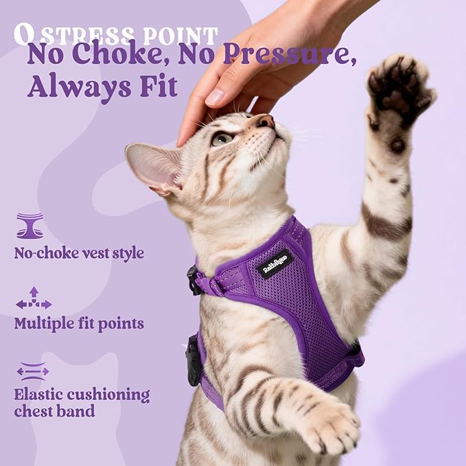 rabbitgoo Cat Harness and Leash, Escape Proof Vest with 3 Adjustable Buckles, Soft Comfortable Kitten Harness, Easy to Wear, Reflective for Safe Outdoor Walking, Small, Purple