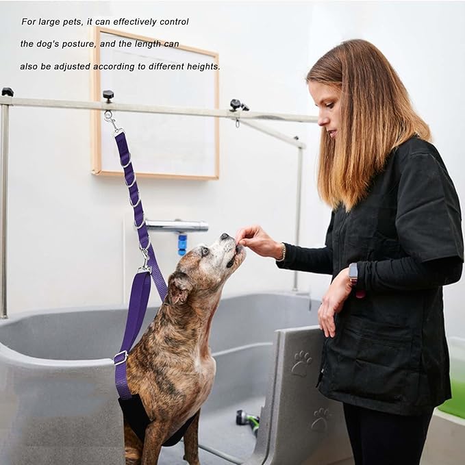 ASOCEA Dog Grooming Belly Strap Belly Band & Loop 3 Sets Adjustable Dogs Groomer Extension Strap for Pet Grooming Tables Arms Bathing Restraint Leash for Small & Medium Dogs(Purple)