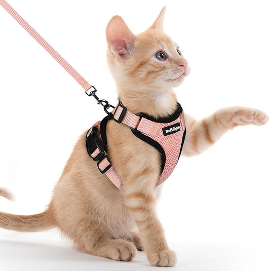 rabbitgoo Cat Harness and Leash Set, Escape Proof Kitten Harness for Safe Outdoor Walks, Soft Breathable Adjustable Vest with Reflective Strips for Kittens and Extra Small Cats, Light Salmon Pink, XXS