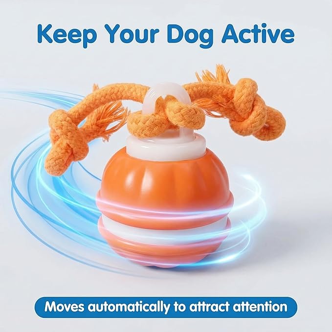 Winb Interactive LED Dog Ball （4 inch）- USB Rechargeable Motion-Activated Rolling Toy for Small to Large Dogs, Dogs Ball Play and Wicked Fun,Squeaky Sound & Stimulation, Orange