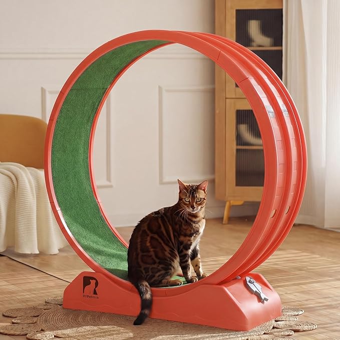 Cat Exercise Wheel, 47.2 Inch Indoor Treadmill for Cats with Carpeted Runway, Screw-Fixed Assembly for Easy Setup, Silent & Safe Fitness Equipment for Most Cats
