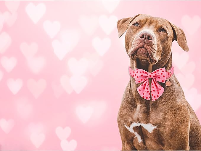 Valentine Dog Collar with Bow Tie, Valentine Bowtie Collar for Small Girl Dog, Cotton Collar with Durable Metal Buckle, Valentine’s Gift Pet Collar, S, Red Heart