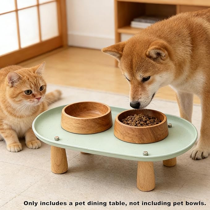 Generic Cat Bowl Raised Stand Rack to Protect Cat Neck Sturdy Non Slip Stable for Feeder Stand Elevated Holder, Green 24cmx13cm