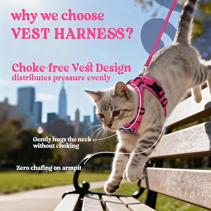 rabbitgoo Cat Harness and Leash Set, Escape Proof Kitten Harness for Safe Outdoor Walks, Soft Breathable Adjustable Vest with Reflective Strips for Kittens and Extra Small Cats, Coconut Fuchsia, XXS