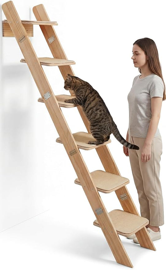 65" Tall 6-Level Cat Ladder for Window & wall | Fits Cats up to 20 lbs |Senior & Less Agile cat Stairs for Window with 55° Gentle Incline | Requires 43" Floor Clearance | No-Drill Glass Installation