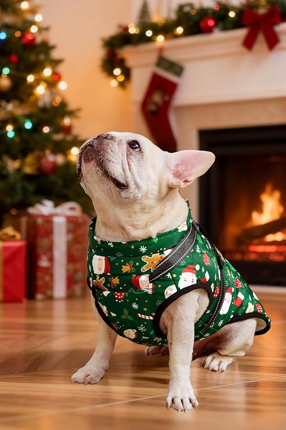Aiboria Dog Jackets for Winter Windproof Waterproof Vest Fleece Warm Dogs Coat with Belt Christmas Green S