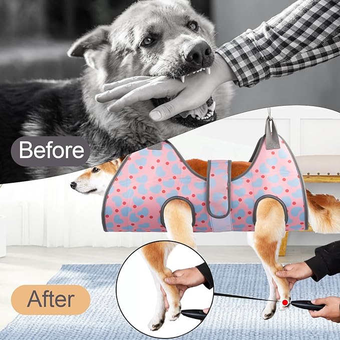 Pet Grooming Hammock for Cats & XS Small Dogs with Nail Clippers/Nail Trimmers, Dog Grooming Harness for Nail Trimming, Pet Grooming Sling Helper for Cutting Nails with Nail Clippers, Nail File