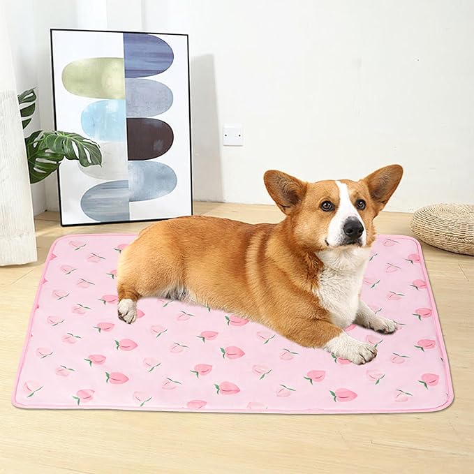 DELIFUR Dog Cooling Mat- Pet Cooling Mat Outdoor for Dogs Ice Pad for Puppy Small Medium Dog Machine Washable (Large, Pink Peach)