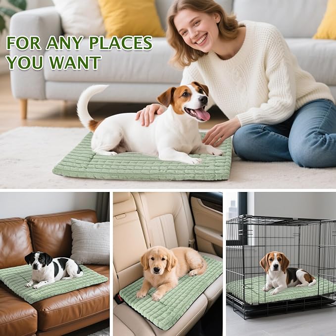 BVAGSS Dog Bed Washable Crate Mattress,Anti-Slip Memory Foam Soft Warm Pet Cushion for Small Medium Dogs, Calming Fluffy Sleeping Kennel Pad XH082 (24''x18'',Green)