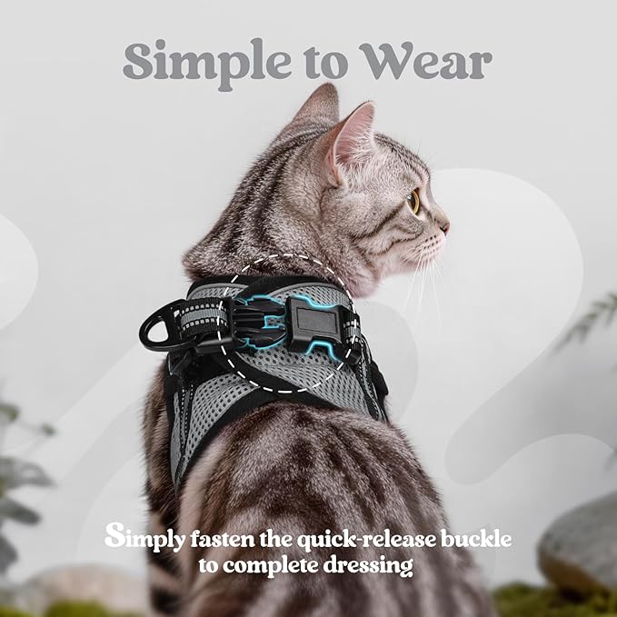 rabbitgoo Cat Harness and Leash, Step-in Escape Proof Kitten Harness Set, Soft Comfortable Cat Vest, Easy to Wear and Adjust, Reflective for Safe Outdoor Walking, Grey, Large