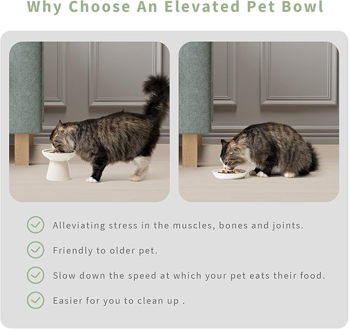 CEEFU Extra Wide Elevated Ceramic Cat Bowl, 6.2" Shallow Dish for Whisker Fatigue Relief, 5" Height for Easy Feeding, Durable Raised Cat Food Bowls, Pack of 2, White