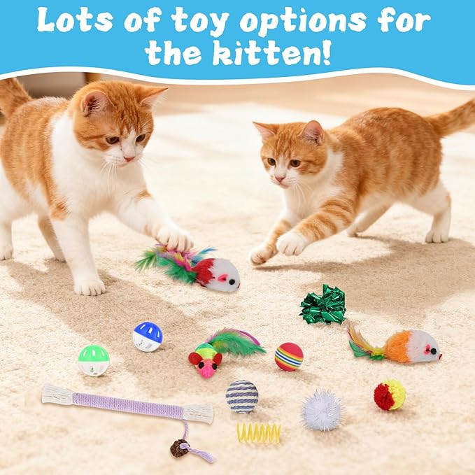 Foxtell Cat Ball Pit Include 229 PCS Interactive Cat Toys for Indoor Bored Self Play Enrichment Toy for Indoor Cats Interactive Fun and Exercise