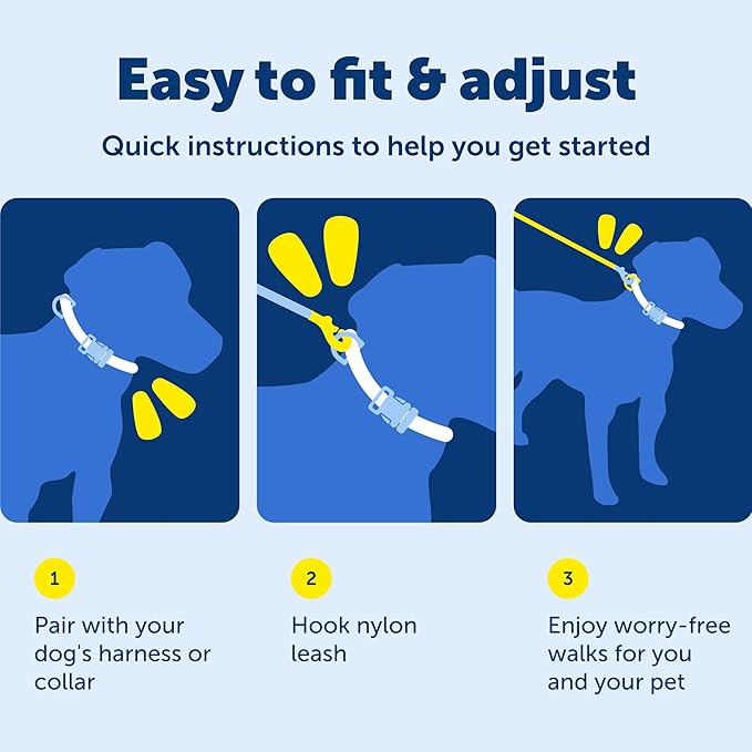 PetSafe Nylon Dog Leash Strong, Durable, Traditional Style Lead with Easy to Use Bolt Snap for Small, Medium and Large Dogs 1" x 4', Black