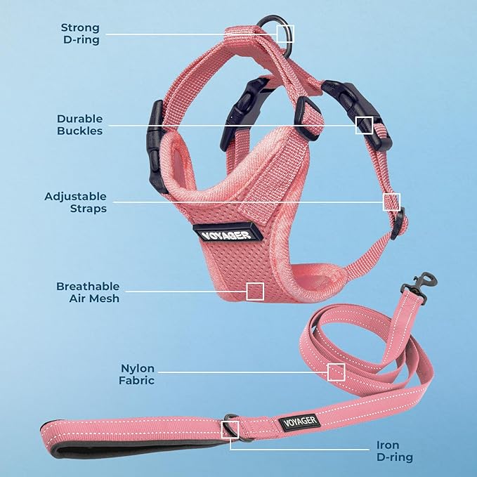 Best Pet Supplies Voyager Step-in Lock Pet Harness w Reflective Pet Leash Combo Set with Neoprene Handle 5ft - Supports Small, Medium and Large Breed Puppies/Cats - Pink, S