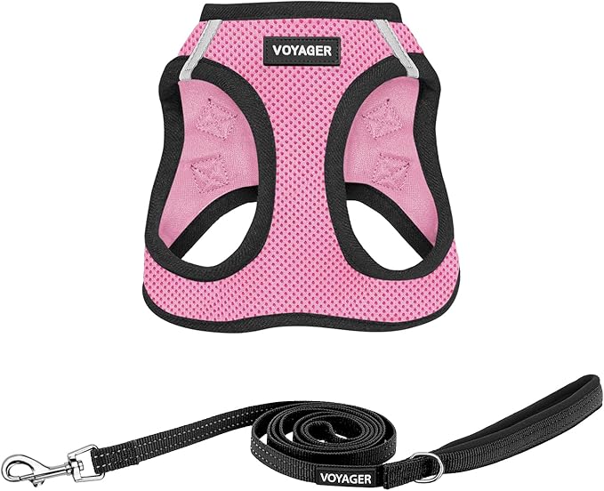 Best Pet Supplies Voyager Step-in Air All Weather Mesh Harness and Reflective Dog 5ft Leash Combo with Neoprene Handle, for Small, Medium and Large Breed Puppies - Set (Pink Base), Medium