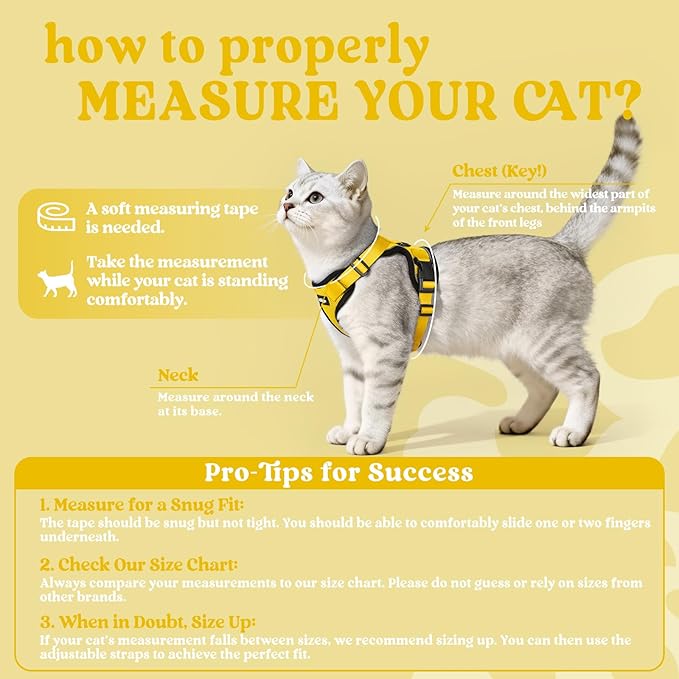 rabbitgoo Cat Harness and Leash Set, Escape Proof Kitten Harness for Safe Outdoor Walks, Soft Breathable Adjustable Vest with Reflective Strips for Kittens and Extra Small Cats, Yellow, XXS