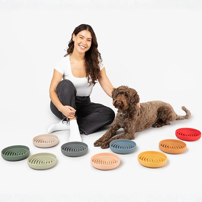 Should We Go? Slow Feeder for Dogs & Puppies, The Slowdown Bowl Silicone Slow Eating Modern Lick Mat Design, Reduces Gulping, Fits 2 Cups 7.5” Across x 1.5” Tall, Mealtime Challenge, Medium-Terracotta