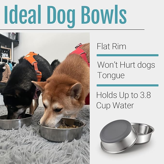 PEGGY11 Nonslip Stainless Steel Dog Bowls, 3.8 US Cup, 2 Count