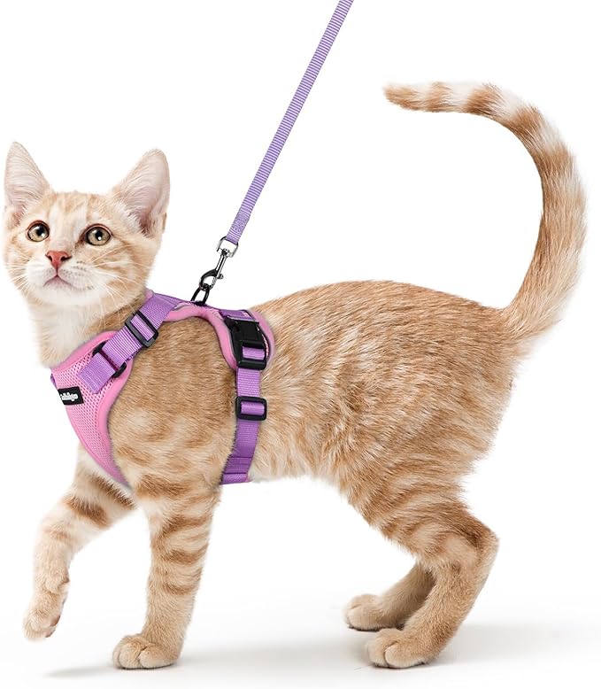 rabbitgoo Cat Harness and Leash Set, Escape Proof Kitten Harness for Safe Outdoor Walks, Soft Breathable Adjustable Vest with Reflective Strips for Kittens and Small Cats, Pink & Purple, XS