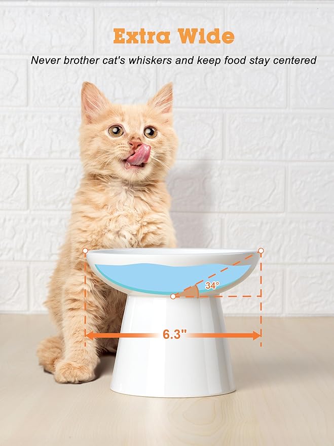 LoeJan Elevated Cat Food and Water Bowls Set, Extra Wide and Raised Ceramic Feeder, Anti-Vomit Whisker-Free Pressure Feeding Bowl for Kittens Adult Small Dogs