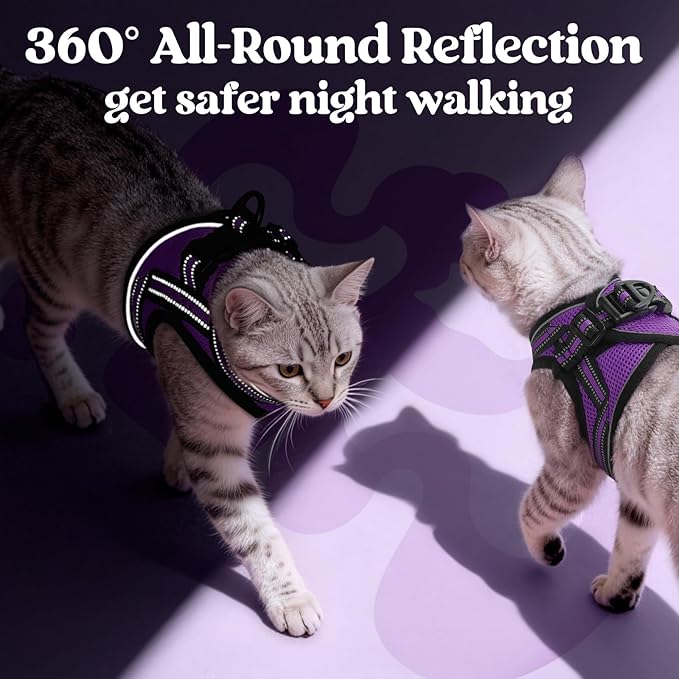 rabbitgoo Cat Harness and Leash, Step-in Escape Proof Kitten Harness Set, Soft Comfortable Cat Vest, Easy to Wear and Adjust, Reflective for Safe Outdoor Walking, Purple, X-Large