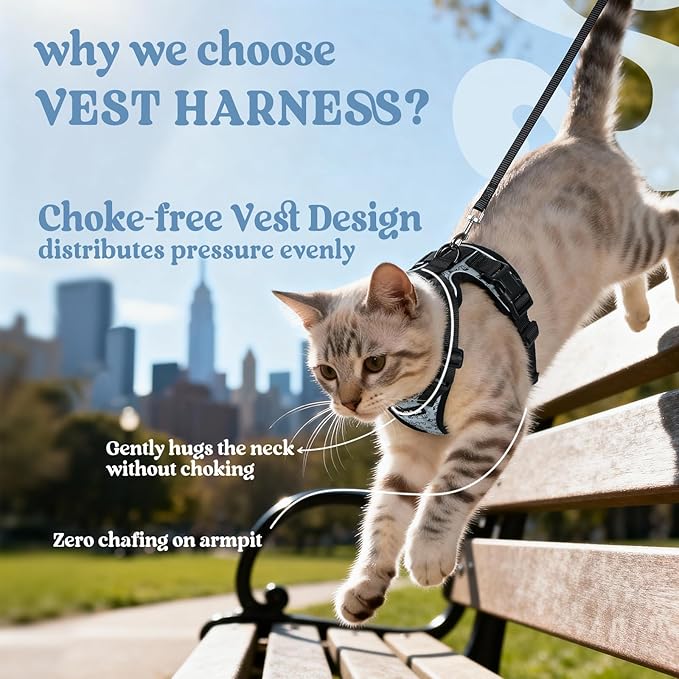 rabbitgoo Cat Harness and Leash Set, Escape Proof Kitten Harness for Safe Outdoor Walks, Soft Breathable Adjustable Vest with Reflective Strips for Kittens and Extra Small Cats, Doodle Gray, XXS