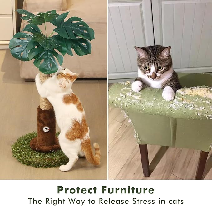 Woochpet Cat Scratching Post for Indoor Cats and Kitten - 24.8" Tall Cat Scratching Post with Sisal Rope,Palm Tree Cat Scratch Post with Hanging Ball, Small Brown