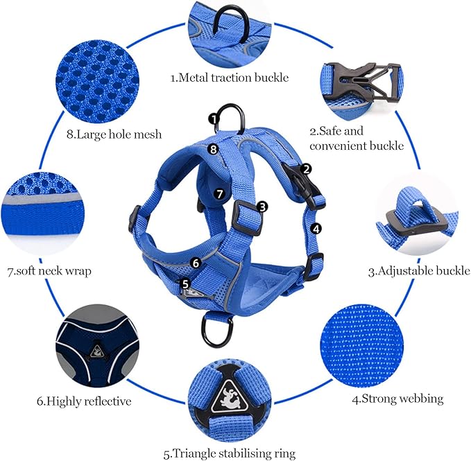 Wanheart Summer cat Chest Harness and Leash, Anti-Escape Adjustable Soft mesh cat Leash and Chest Harness Set for All Types of Cats cat Vests (Royal Blue, M:6.6-9.9lb)