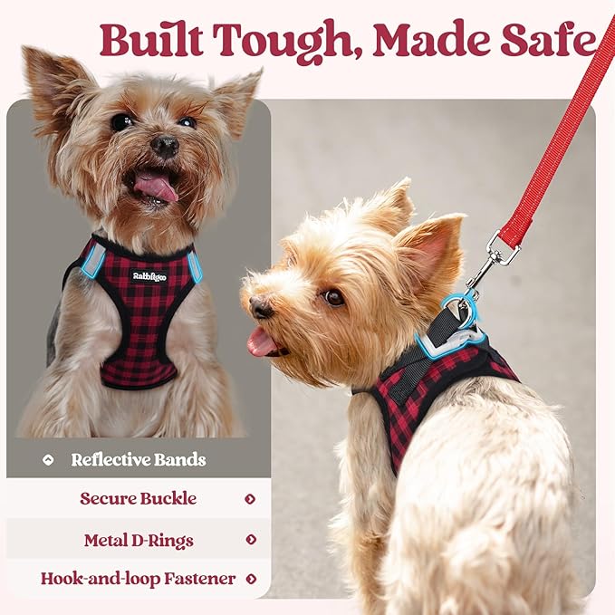 rabbitgoo Dog Harness Small Sized and Leash Set, Step in Soft Light Puppy Vest, Breathable Mesh Pet Harness, Reflective for Safe Easy Walking, Red Plaid S