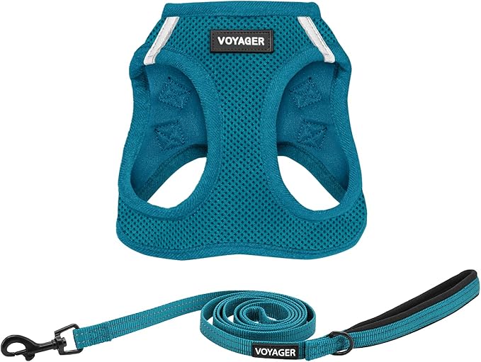 Best Pet Supplies Voyager Step-in Air All Weather Mesh Harness and Reflective Dog 5ft Leash Combo with Neoprene Handle, for Small, Medium and Large Breed Puppies - Set (Turquoise), Large
