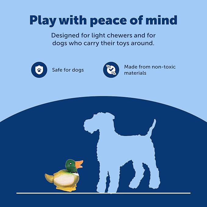 PetSafe Animal Squeak Toys, Duck - Soft Latex Woodland Creatures
