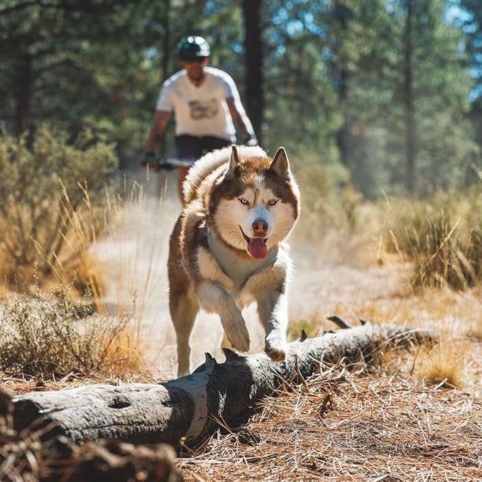 Ruffwear, Swamp Cooler Zip Dog Vest, Evaporative Cooling for Hot Weather, Biolumin Blue, XX-Small